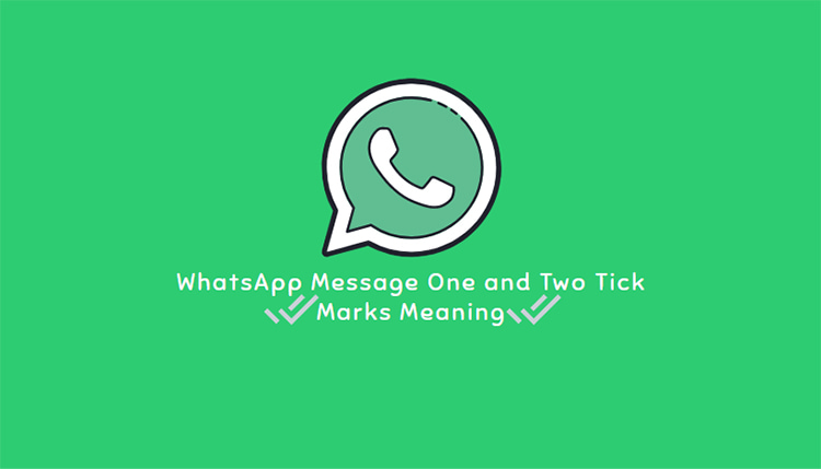 WhatsApp Message One and Two Tick Marks Meaning in Hindi