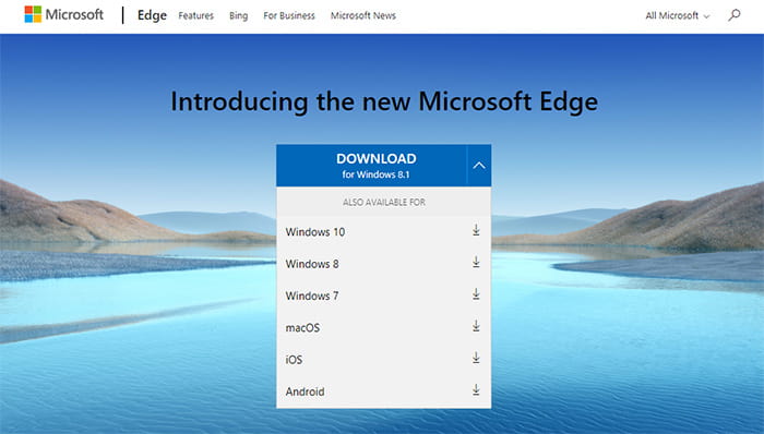 Microsoft edge download options