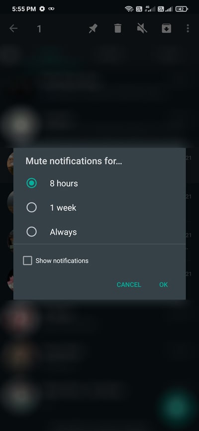 WhatsApp mute period Selection